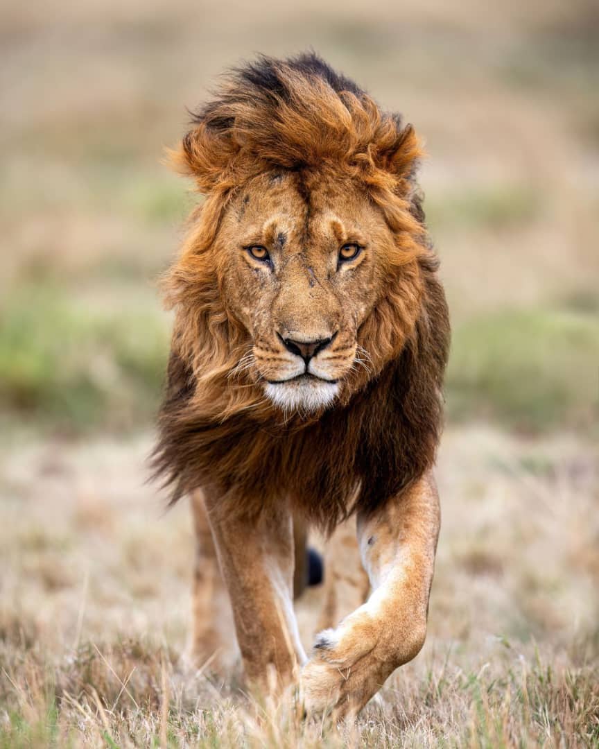 EXPLORING TANZANIA!